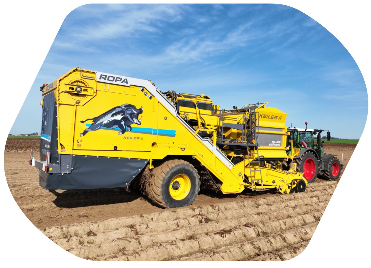 Mustr_orez-10 Mustr_orez-10