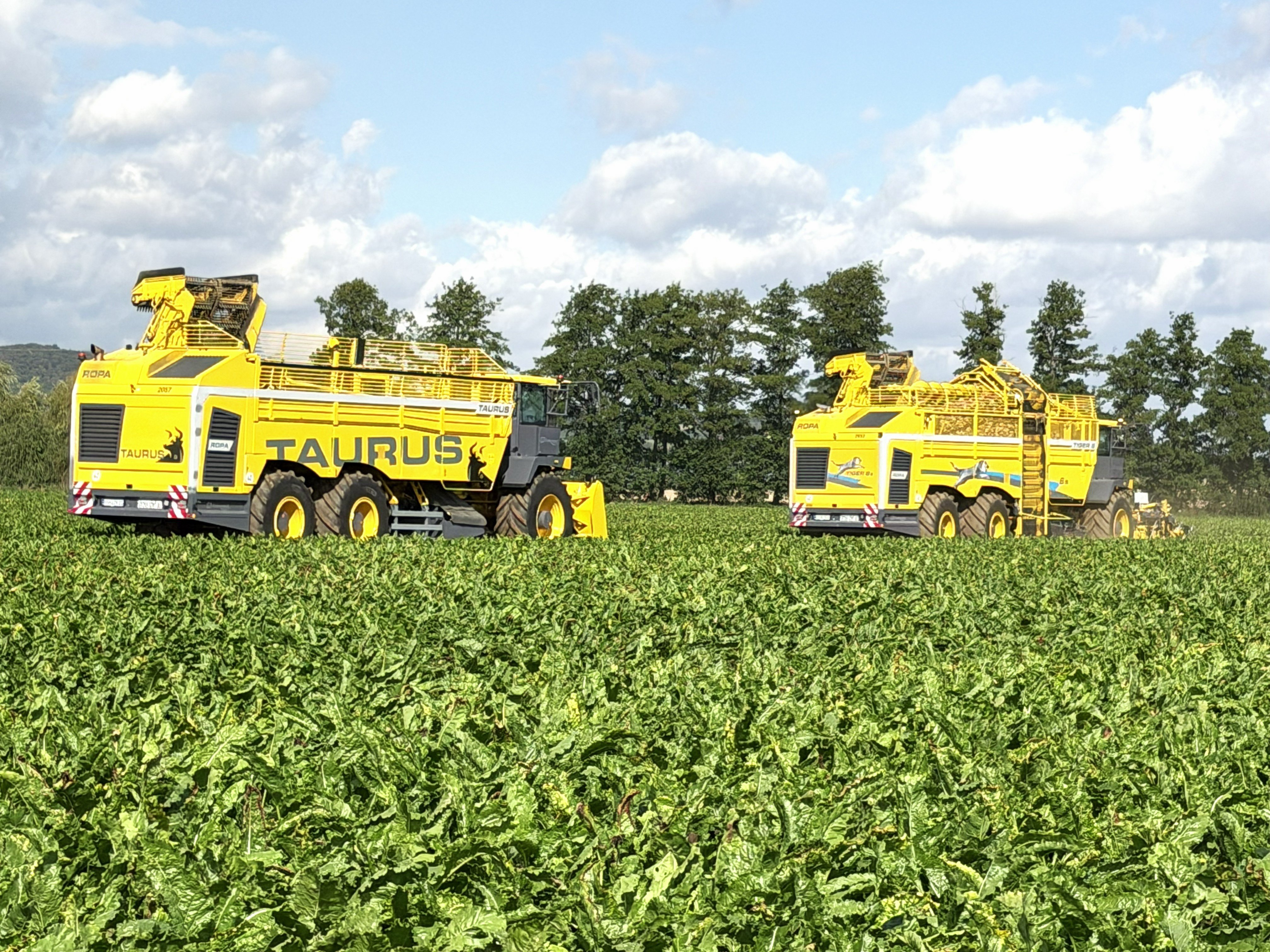 Sugar Beet Expo 2026
