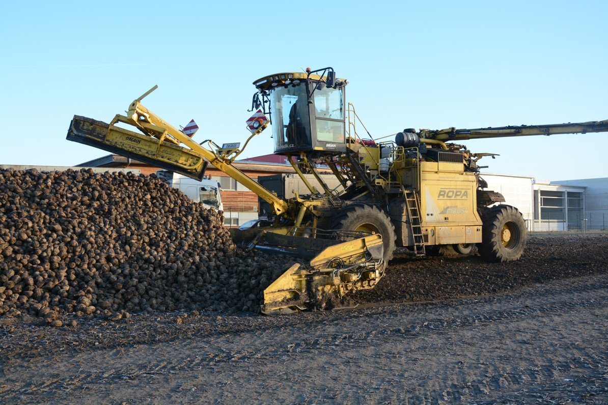       
          Cesta řepy do cukrovaru pokračuje s ROPA euro-MAUS 4
      