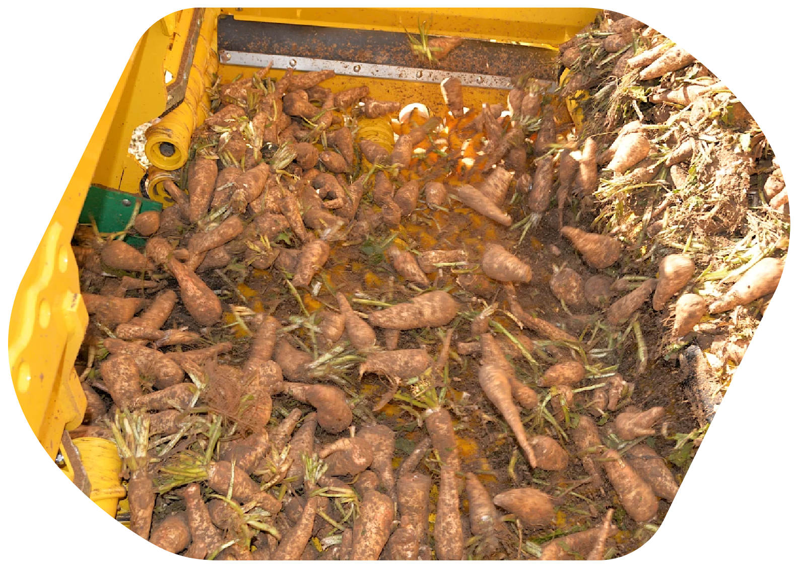 ROPA_BunkerMaus6_05-1