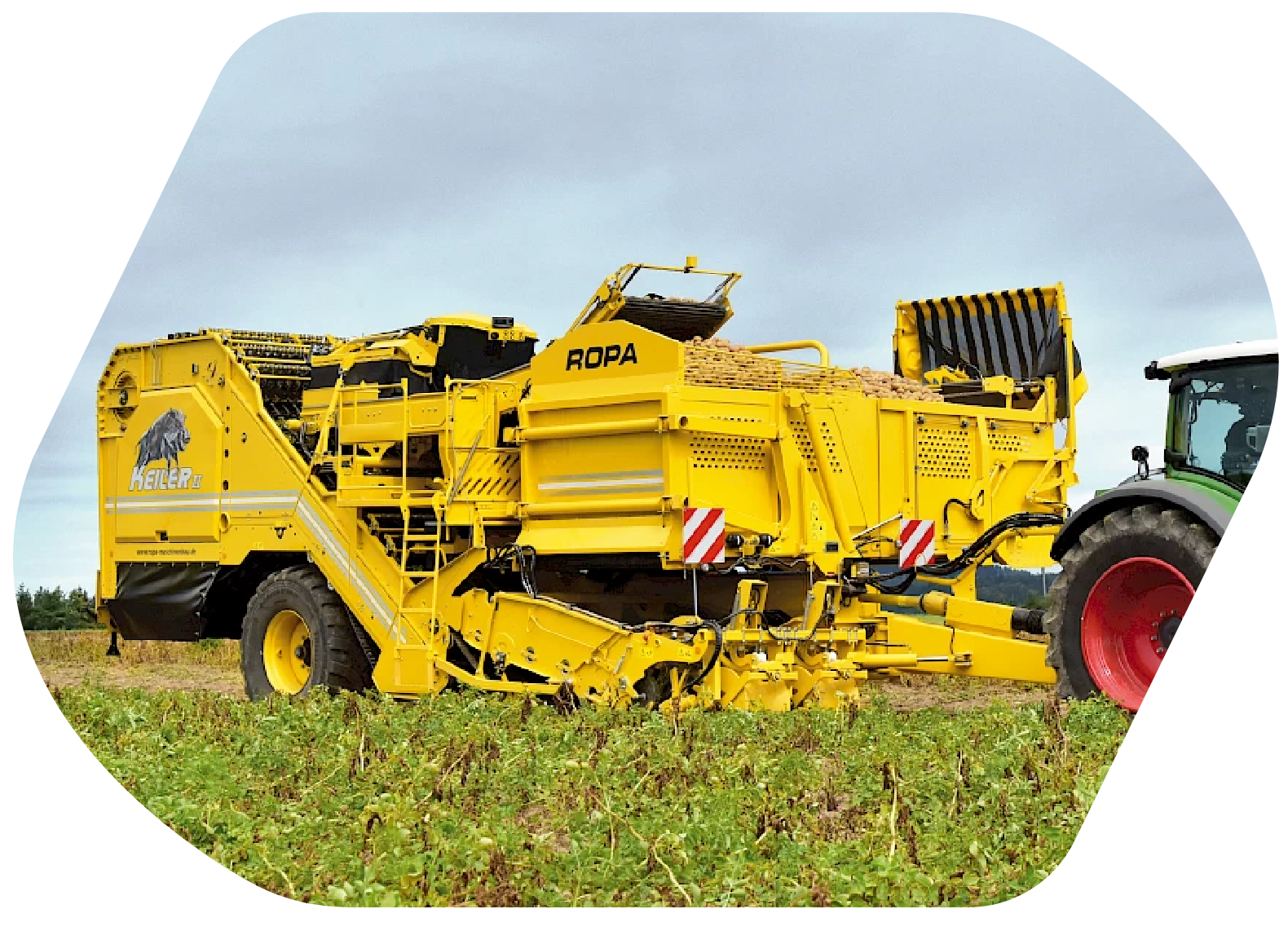 ROPA_RK21_01 ROPA_RK21_01