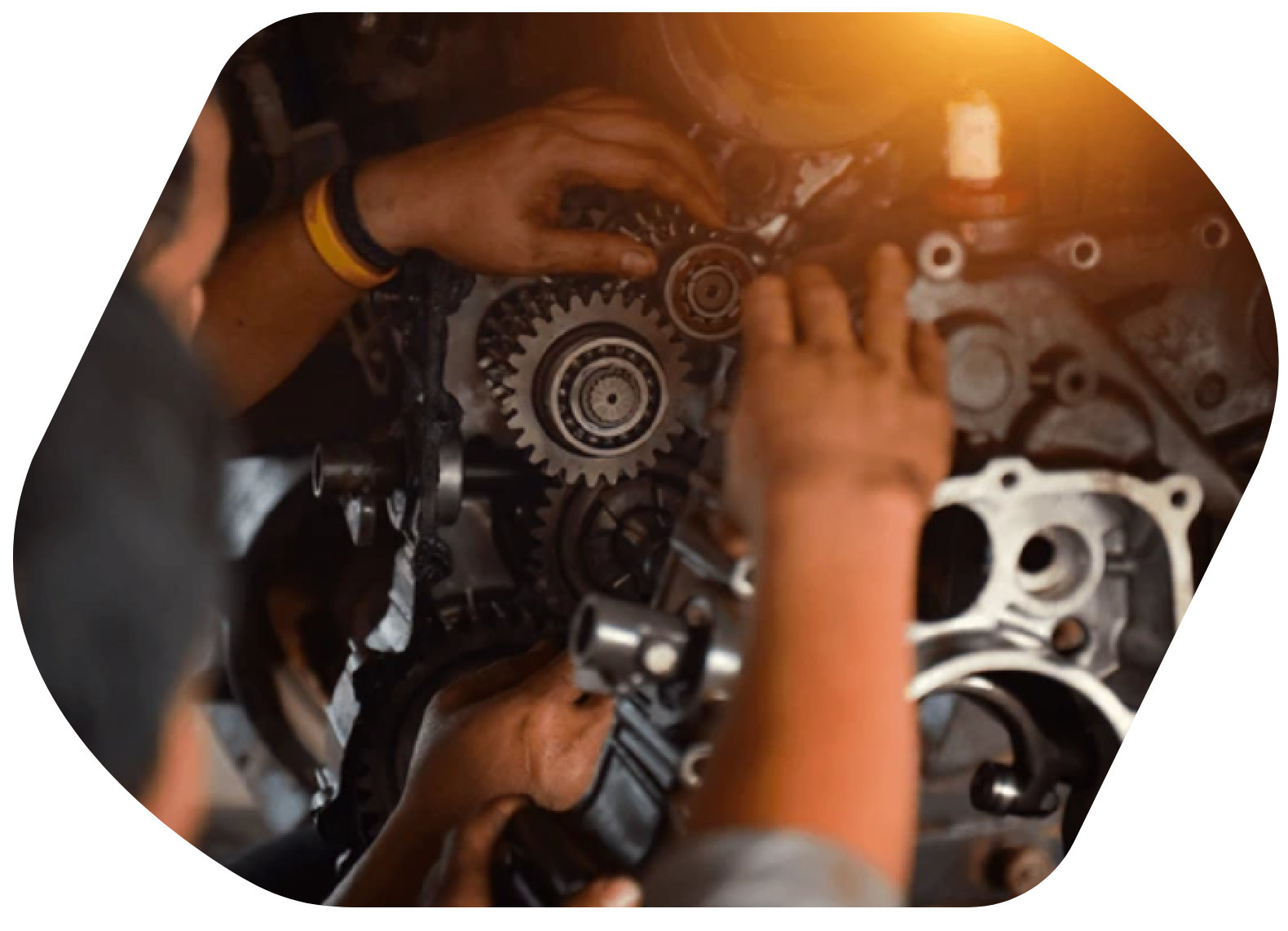 Mustr_orez-Photopea-77